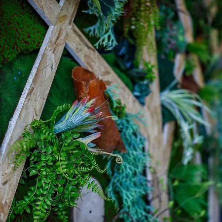 מלון Sport Gym + קוביליה