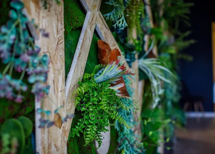 Sport Gym + Covilhã